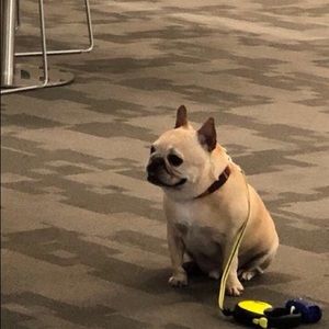 Meet your Posher, Sam